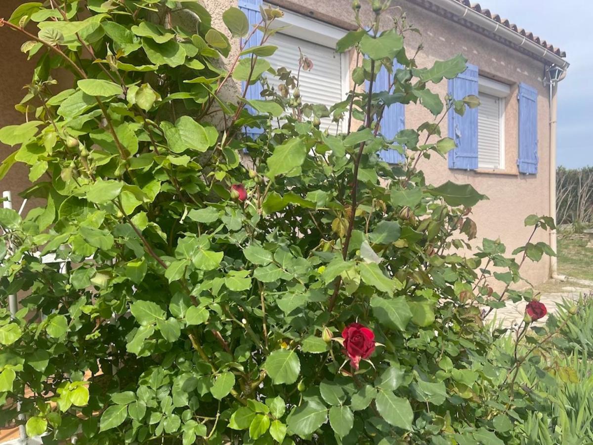 מארגריט Confortable Villa De Vacances Entre Nimes, Le Pont Du Gard, Uzes, Arles, Avignon מראה חיצוני תמונה